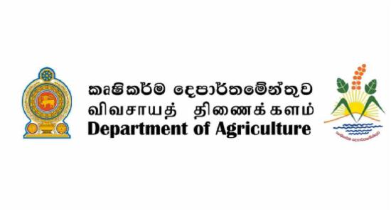 'දිට්වා' වගා හානි වෙනුවෙන් මිලියන 800ක් ගෙවා අවසන්